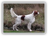 2014-3-27 eoghan (1)