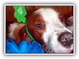 2014-3-27 eoghan (2)