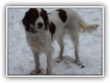 2019-01-28 nyastar didi (2)