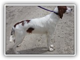 2019-04-28 Zuma (5)