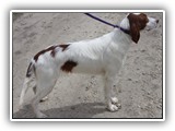 2019-04-28 Zuma (6)