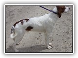 2019-04-28 Zuma (7)