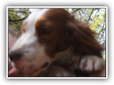 2019-06-10 (71)