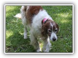 2019-07-15 setter kayleigh (1)