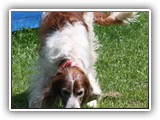 2019-07-15 setter kayleigh (2)