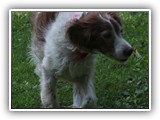 2019-07-15 setter kayleigh (3)