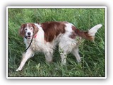 2019-07-15 setter kayleigh (4)