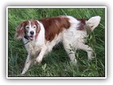 2019-07-15 setter kayleigh (5)