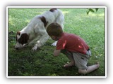 2019-07-15 setter zuma (2)