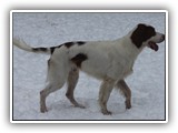 2019-12-01 zuma (1)