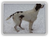 2019-12-01 zuma (11)