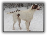 2019-12-01 zuma (12)