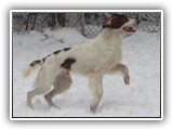 2019-12-01 zuma (14)