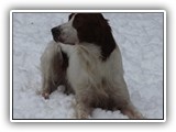 2019-12-01 zuma (3)