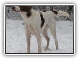 2019-12-01 zuma (4)