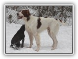 2019-12-01 zuma (7)