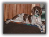 3-14-2013 Kayleigh (1)