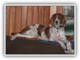 3-14-2013 Kayleigh (2)