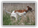 4-17-12 run (13)