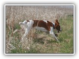 4-17-12 run (14)