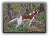 4-17-12 run (32)