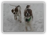 4-5-2013 kayleigh & kerosene