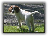 5-21-12 eoghan (1)