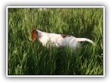 6-27-12 walk (36)