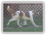 9-19-2012 kayleigh (1)