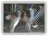 9-19-2012 kayleigh (3)