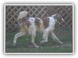 9-19-2012 kayleigh (4)