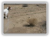  9-27-2014 eoghan (6)