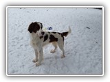 apollo 2-6-16 (3)