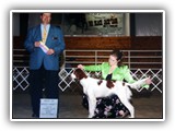 Ember BOB Colee Kennel Club