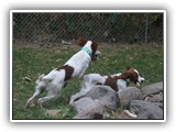 eoghan & gilda 10-6-12