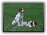 eoghan & tillie (11)