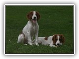 eoghan & tillie (12)