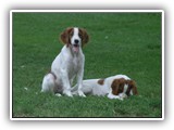 eoghan & tillie (13)