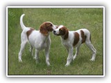 eoghan & tillie (4)
