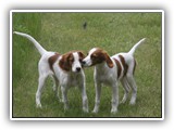 eoghan & tillie (5)