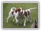 eoghan & tillie (6)