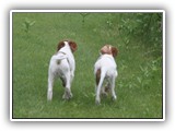 eoghan & tillie (7)