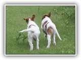 eoghan & tillie (8)