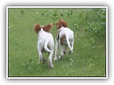 eoghan & tillie (9)