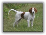 eoghan (1)