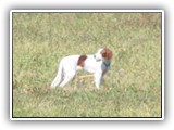 eoghan 9-2012 (3)
