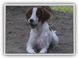 eoghan 9-23-12 (1)