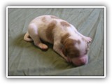glory litter 5-12-2013 teal girl (1)