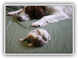 glory litter 5-12-2013 teal girl (3)