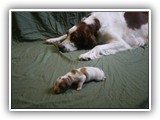 glory litter 5-12-2013 teal girl (4)